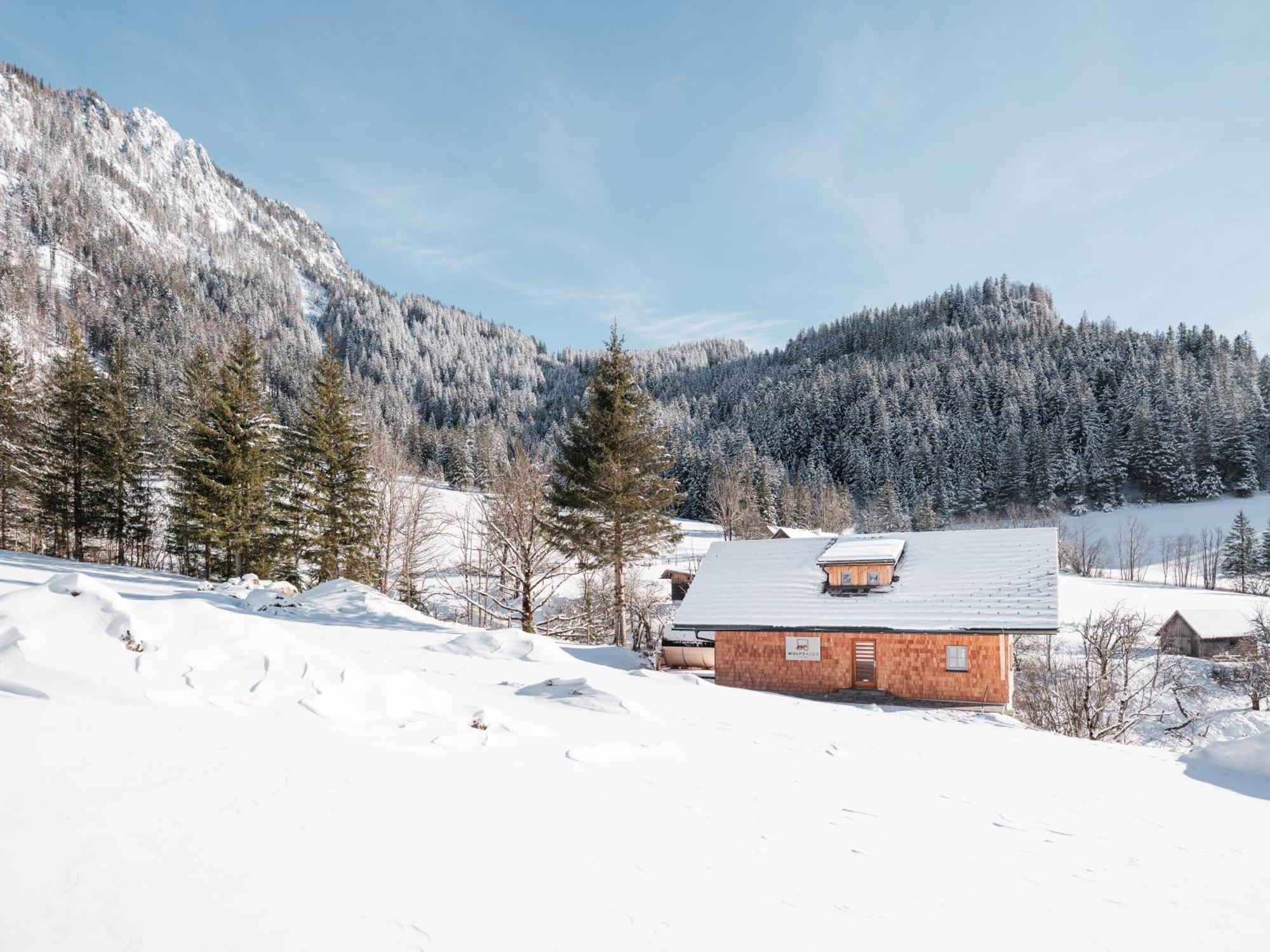 Johnsbach Haus 1683 - Wolfbauerヴィラ エクステリア 写真